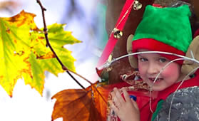 Elf and autumn foliage