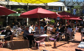Monthly organic farmers market