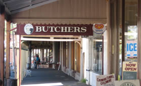 Bustling Bilby street