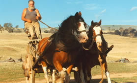 City Stresses Country Pleasures