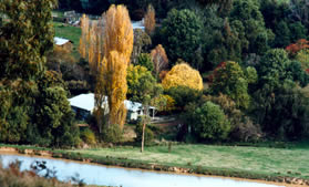 Local organic farm