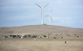 Windfarms