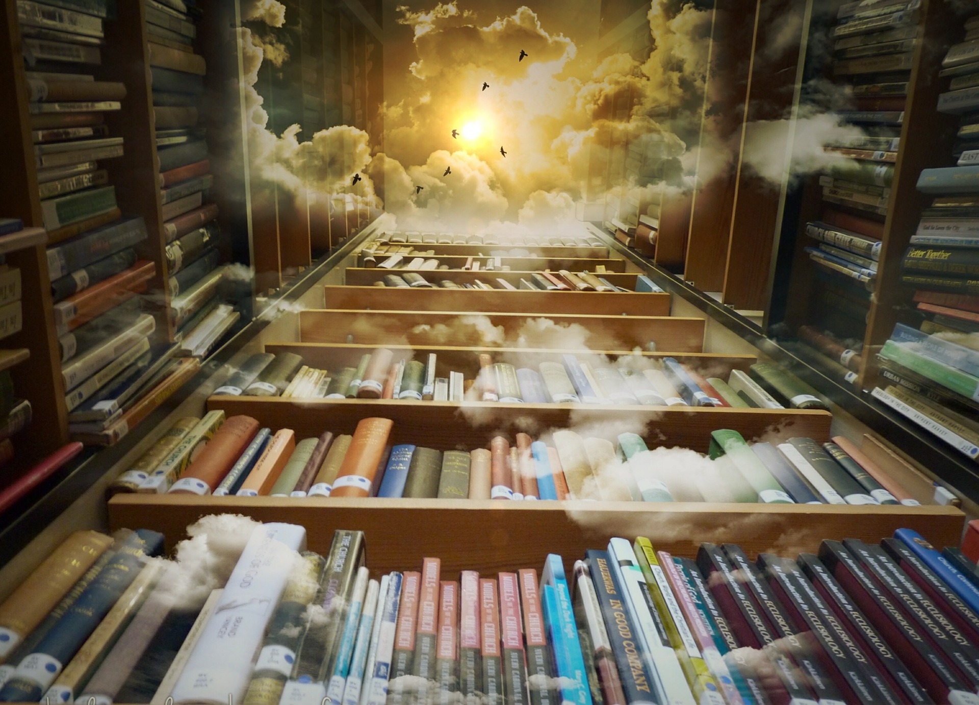 view looking up through bookshelves to open sky with clouds and birds